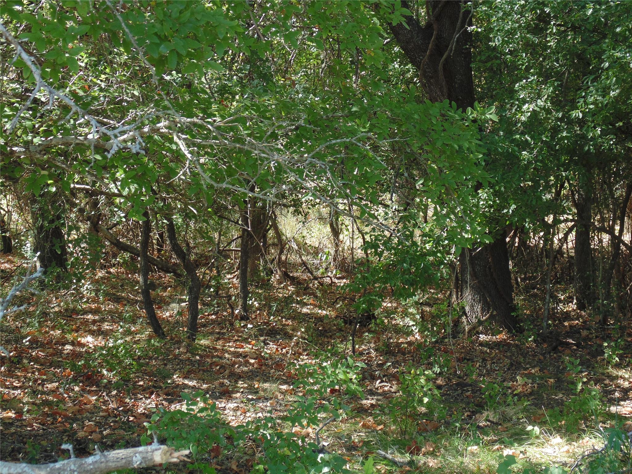 main property photo 10