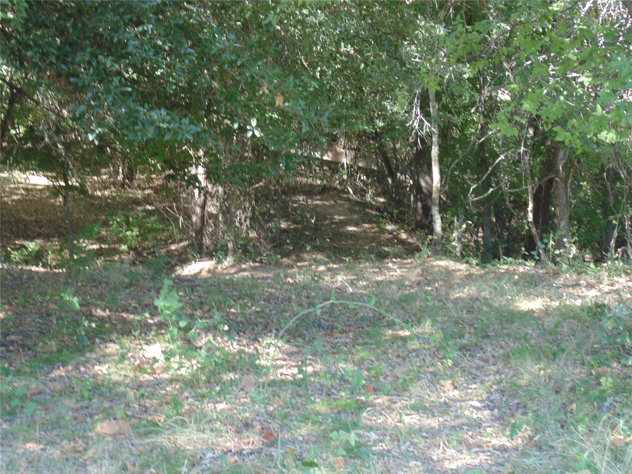 main property photo 11