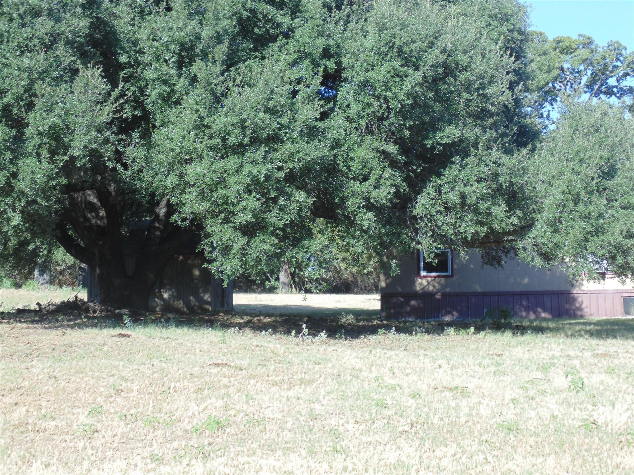 main property photo 26