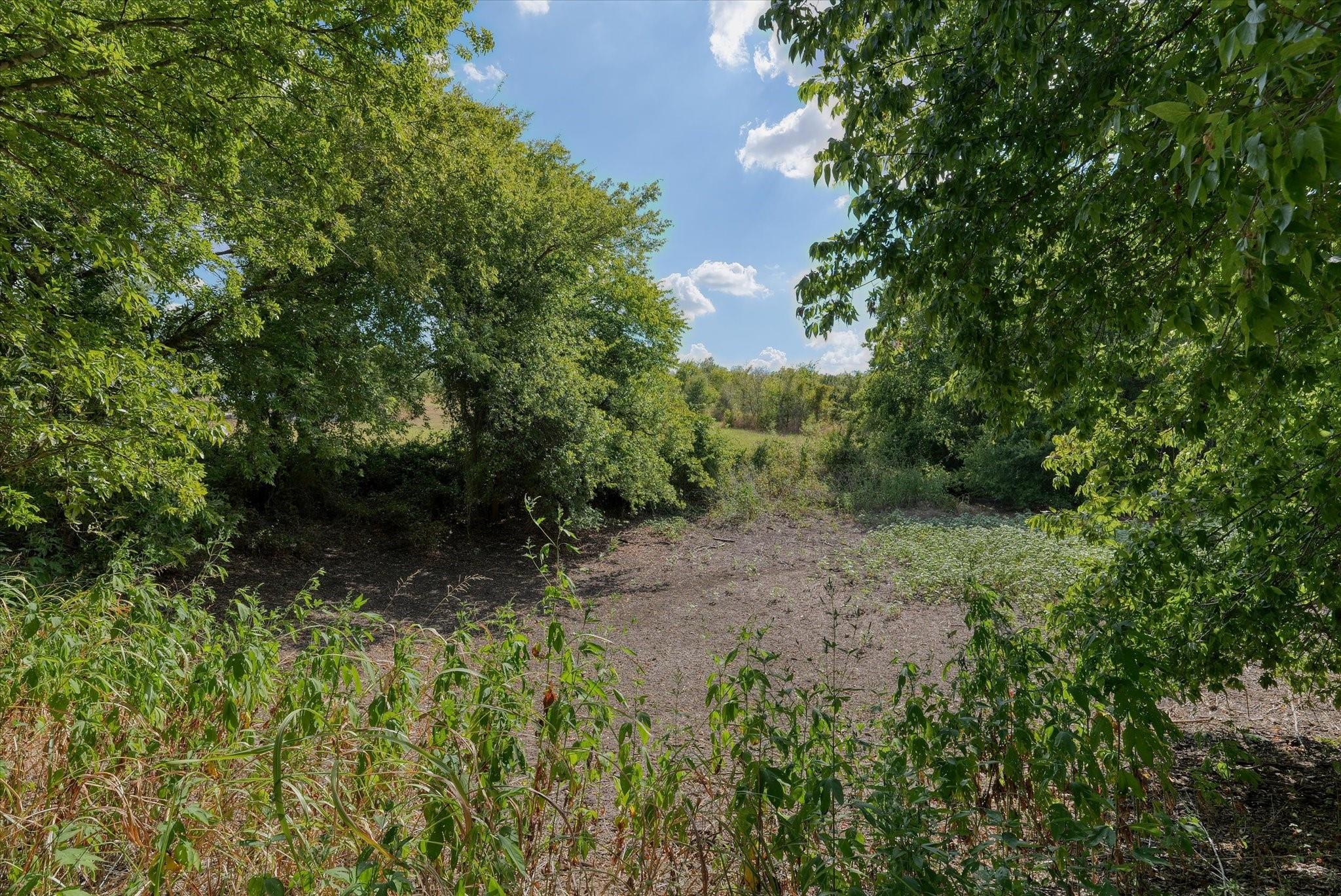 main property photo 10