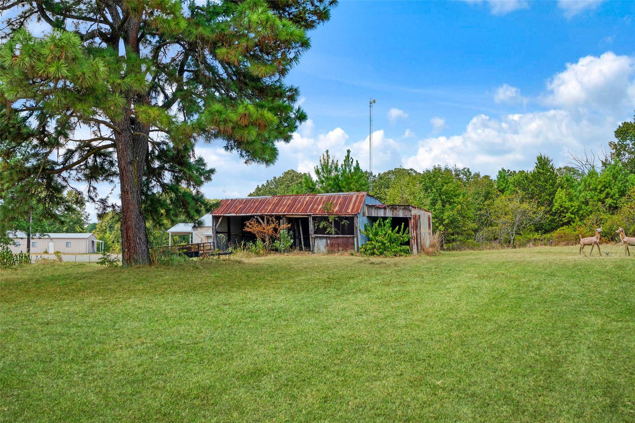 main property photo 18