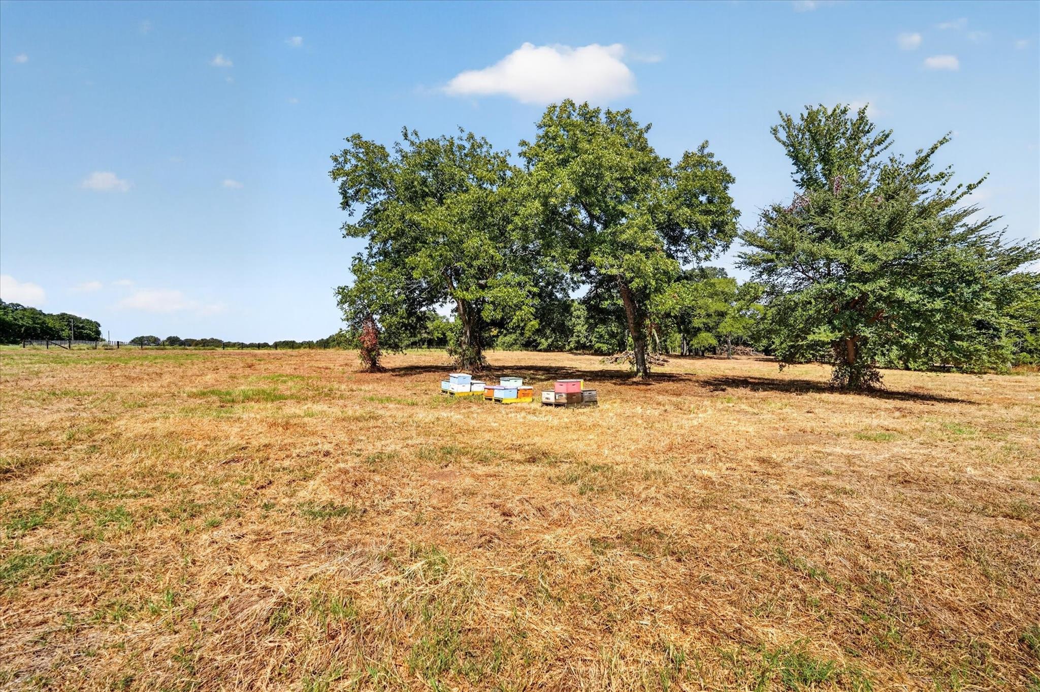 main property photo 16