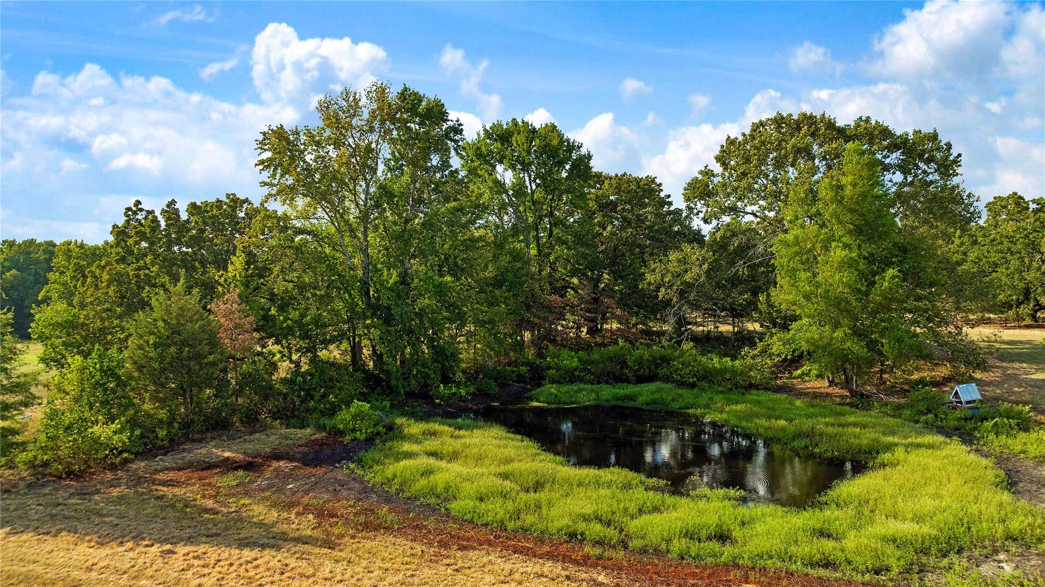 main property photo 33