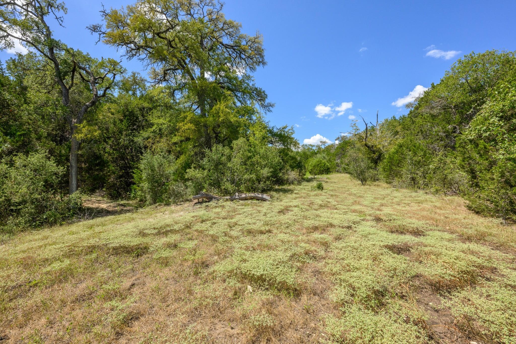main property photo 29