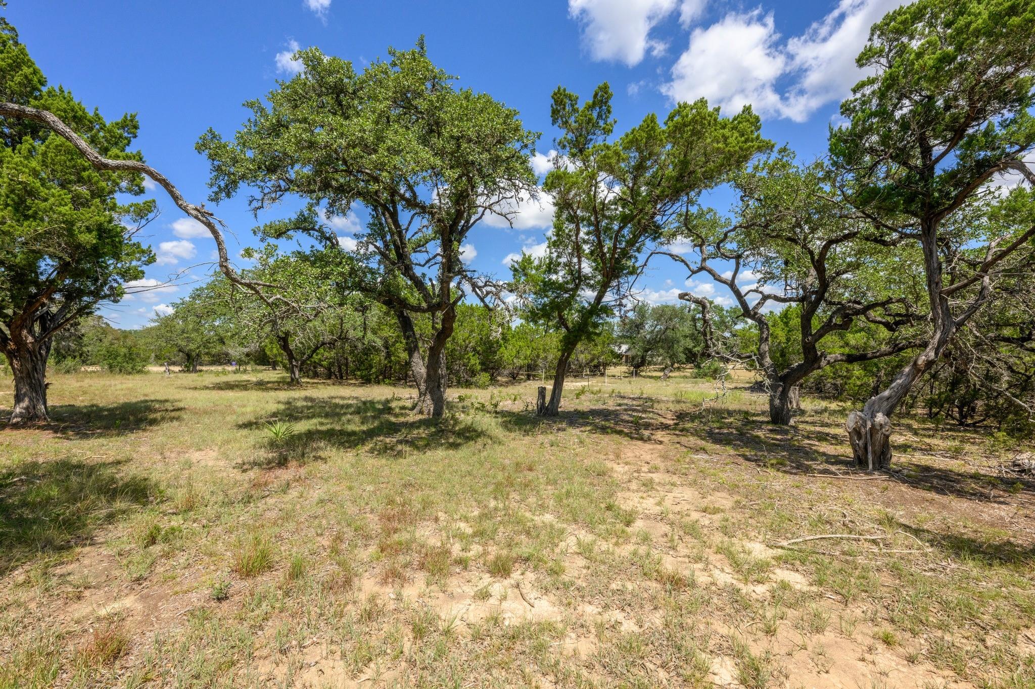 main property photo 33