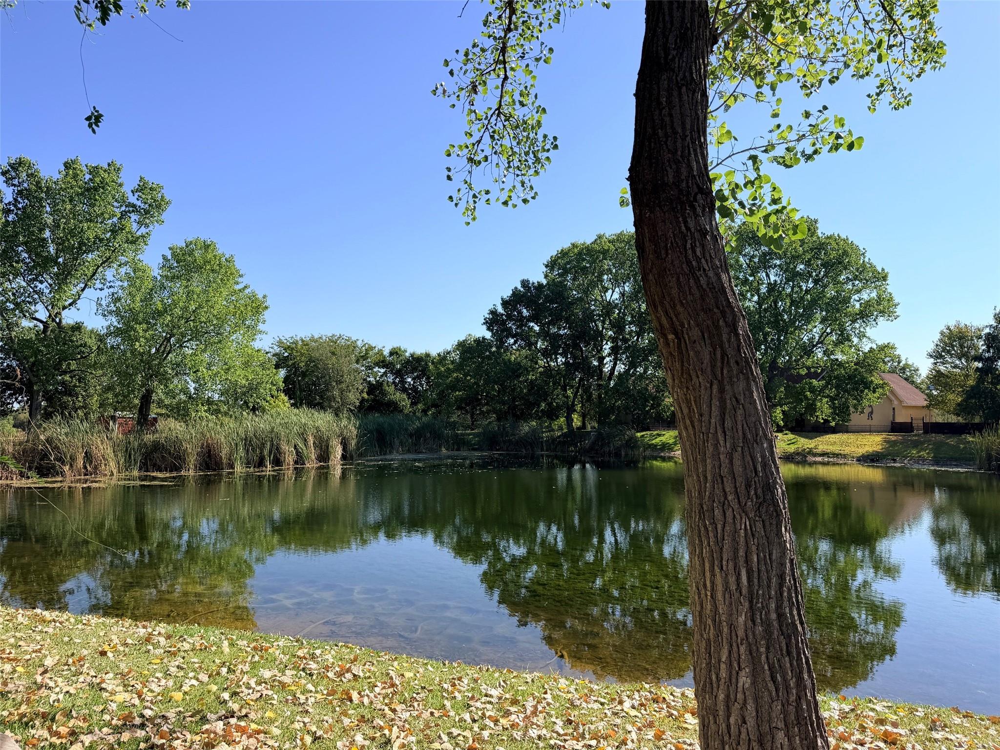 main property photo 27