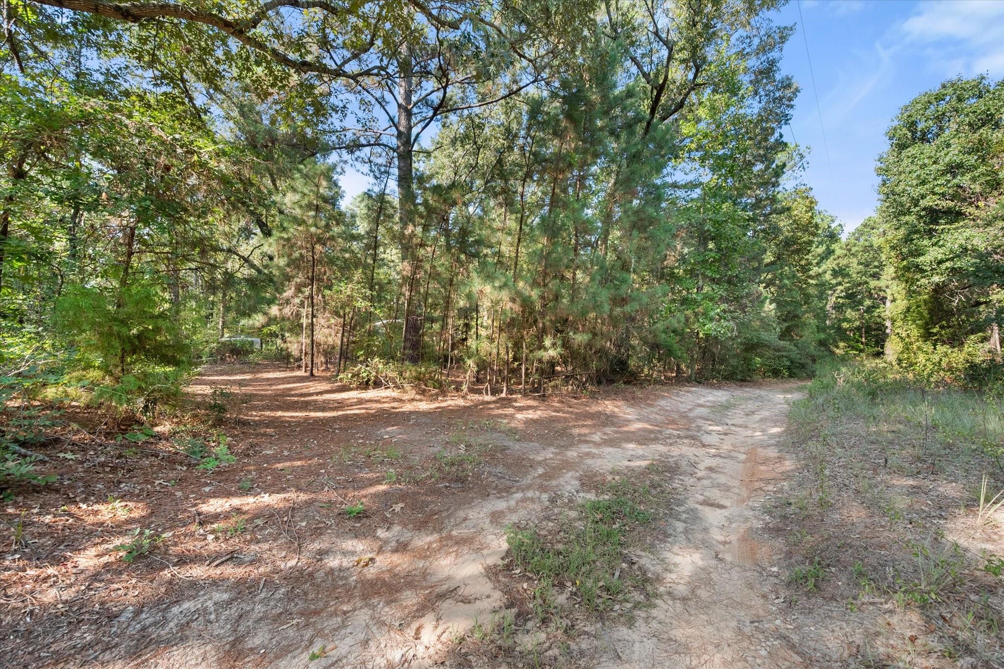 main property photo 25