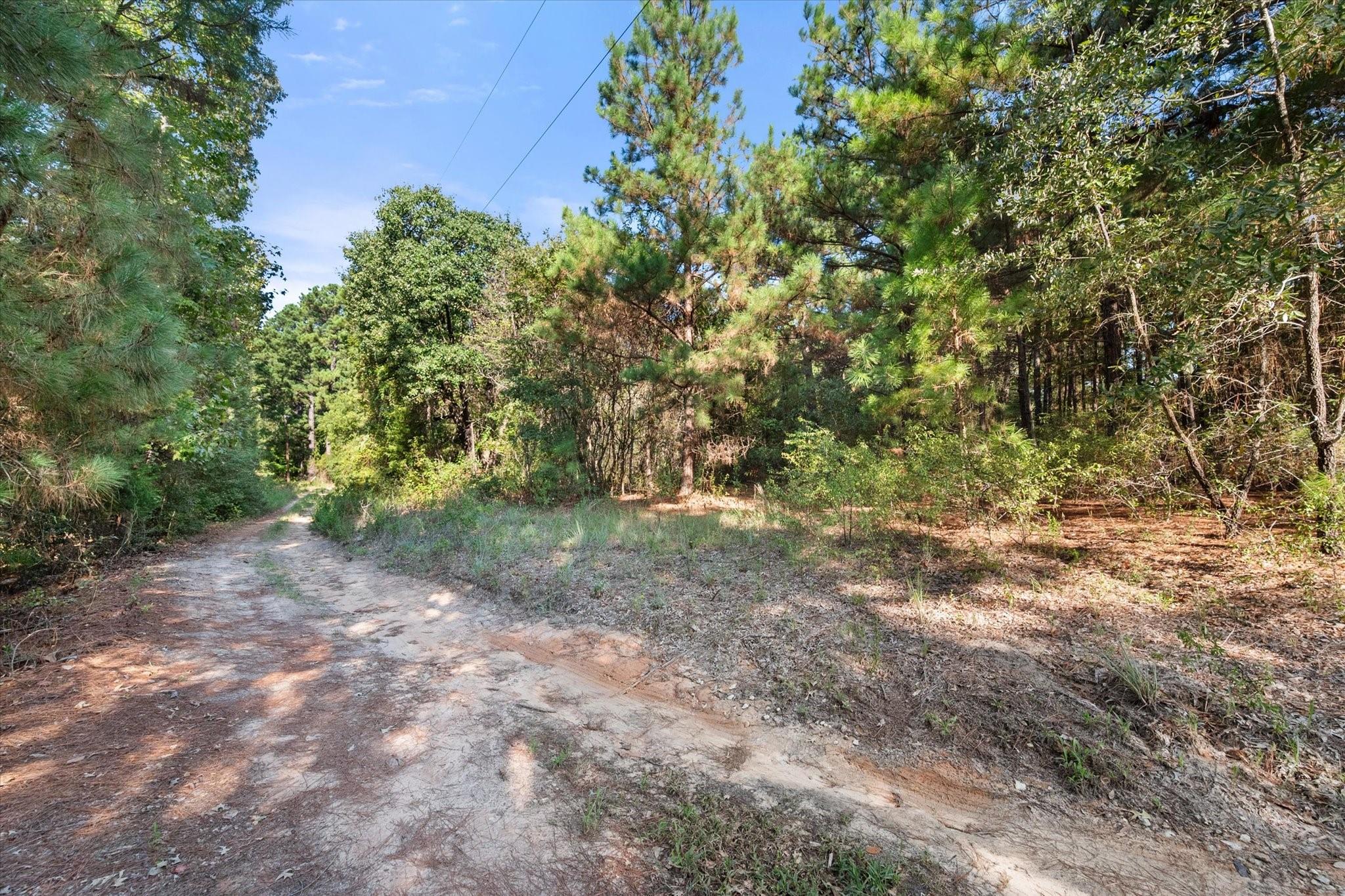 main property photo 26