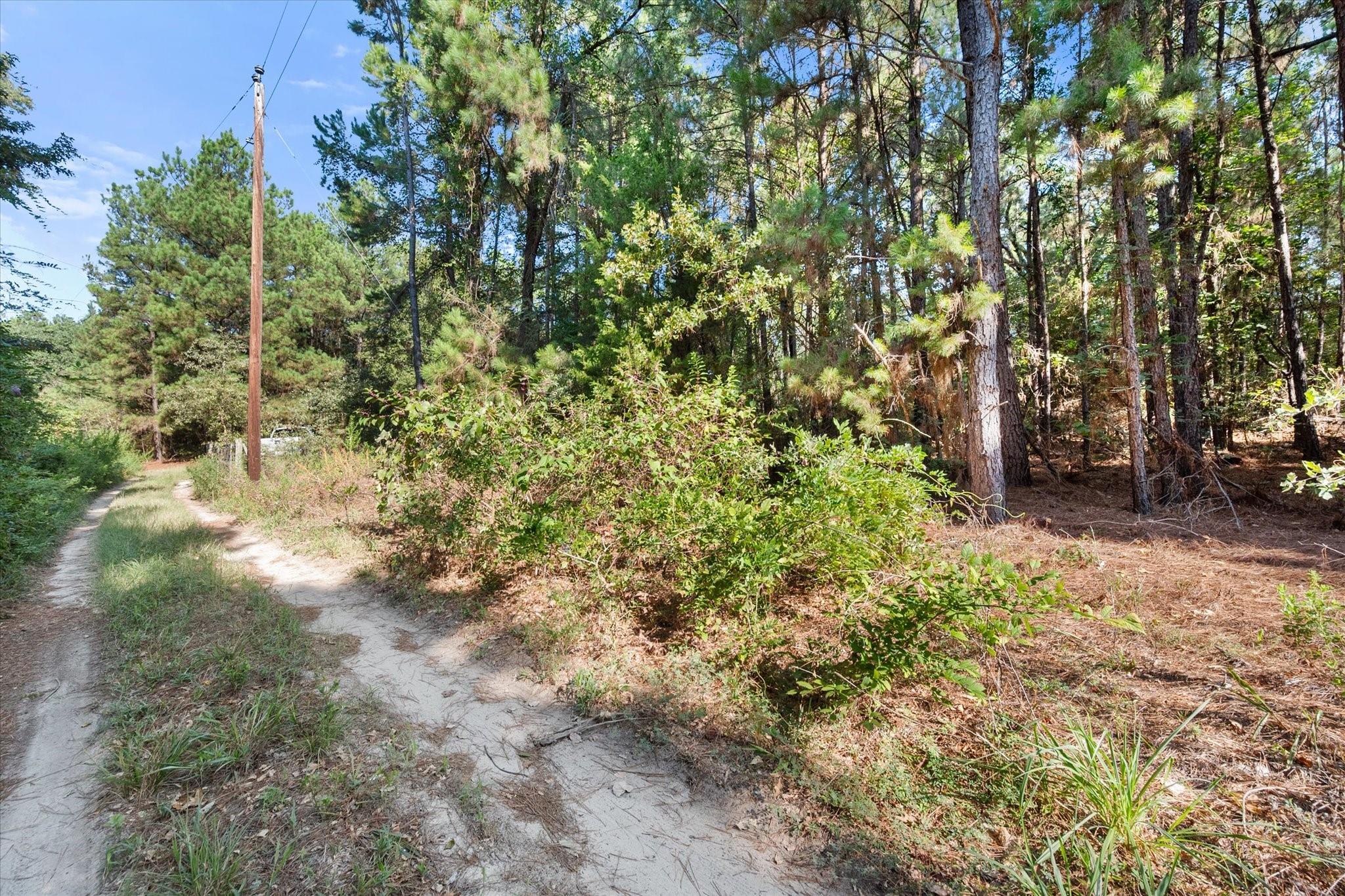 main property photo 27