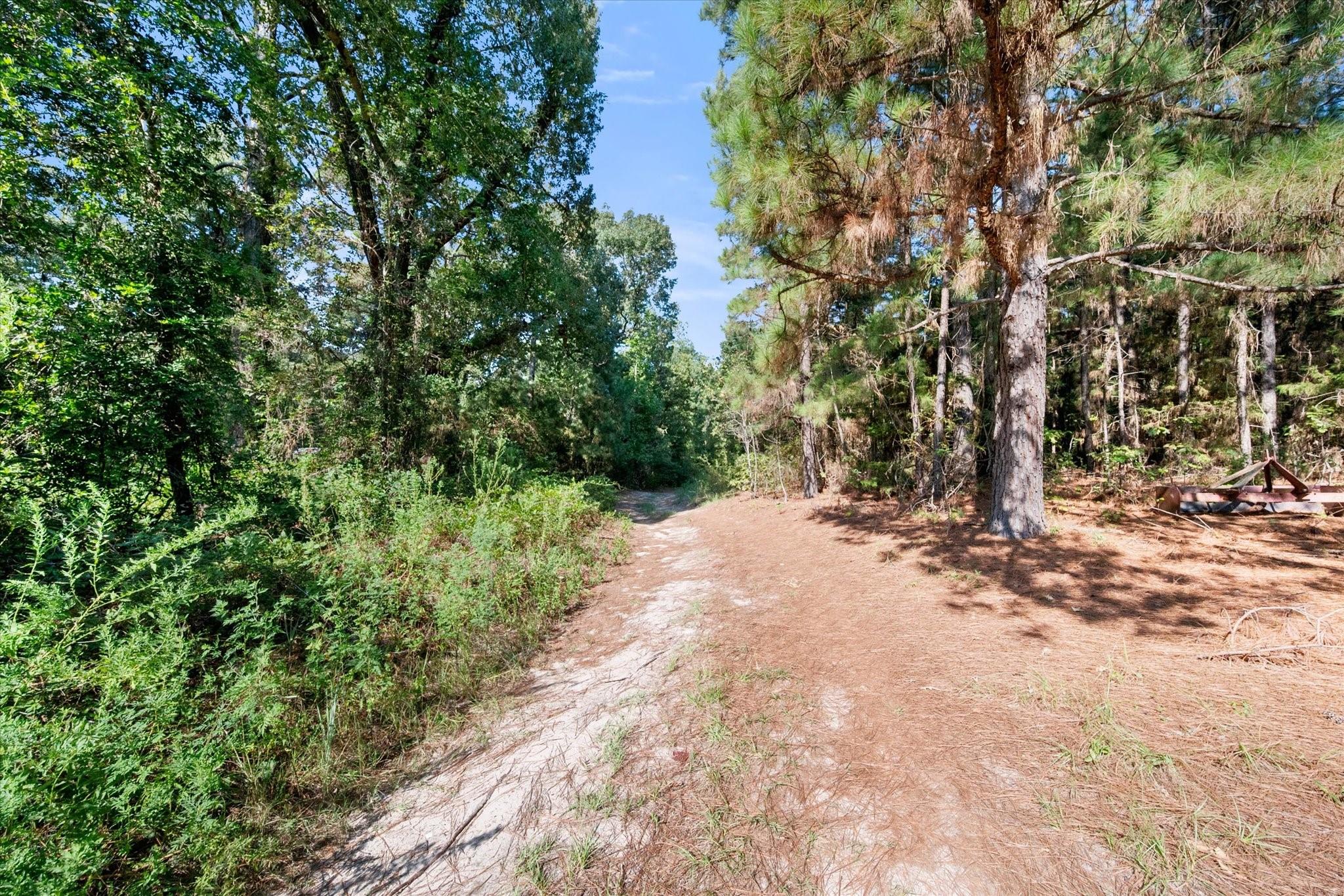 main property photo 6