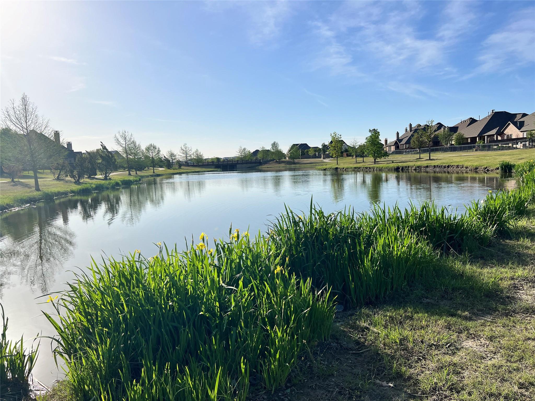 main property photo 34