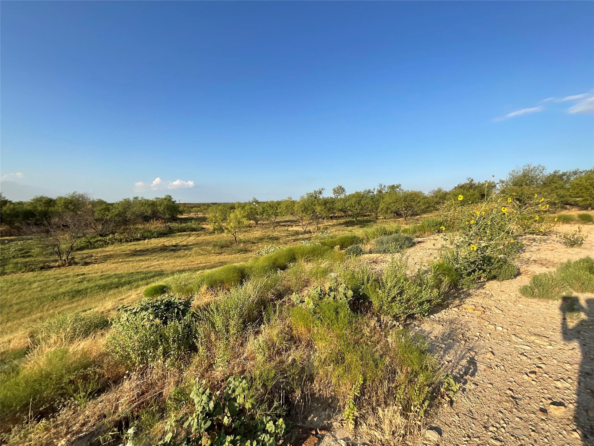 main property photo 16