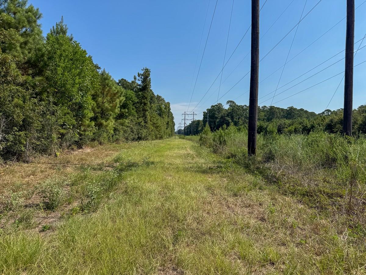 main property photo 15
