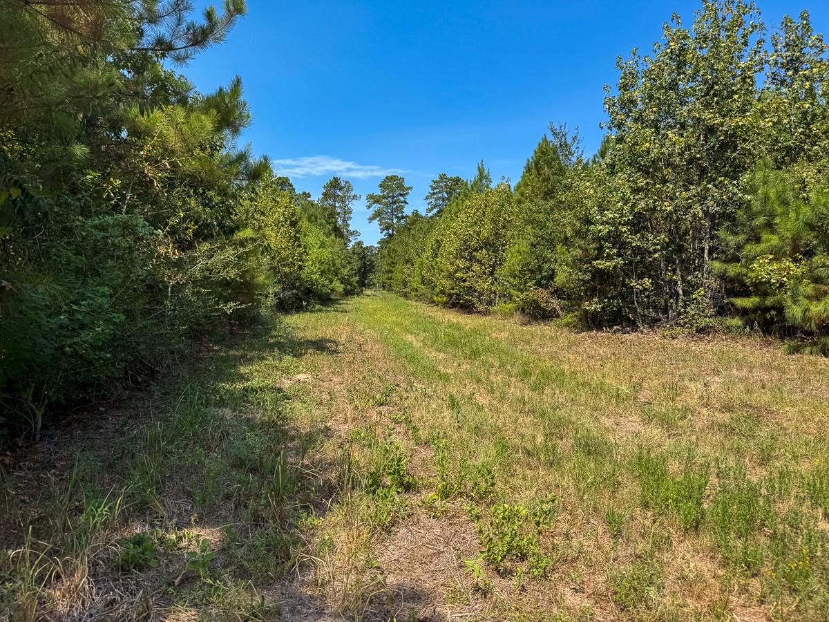 main property photo 21