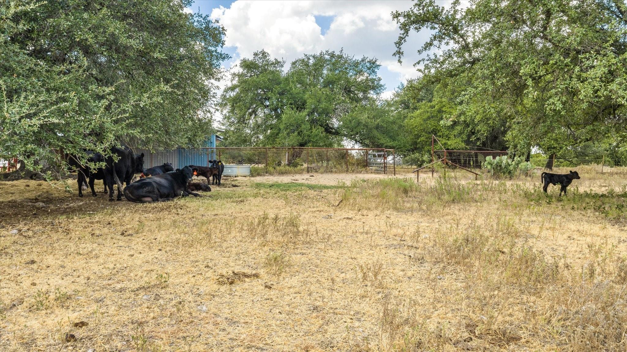 main property photo 10