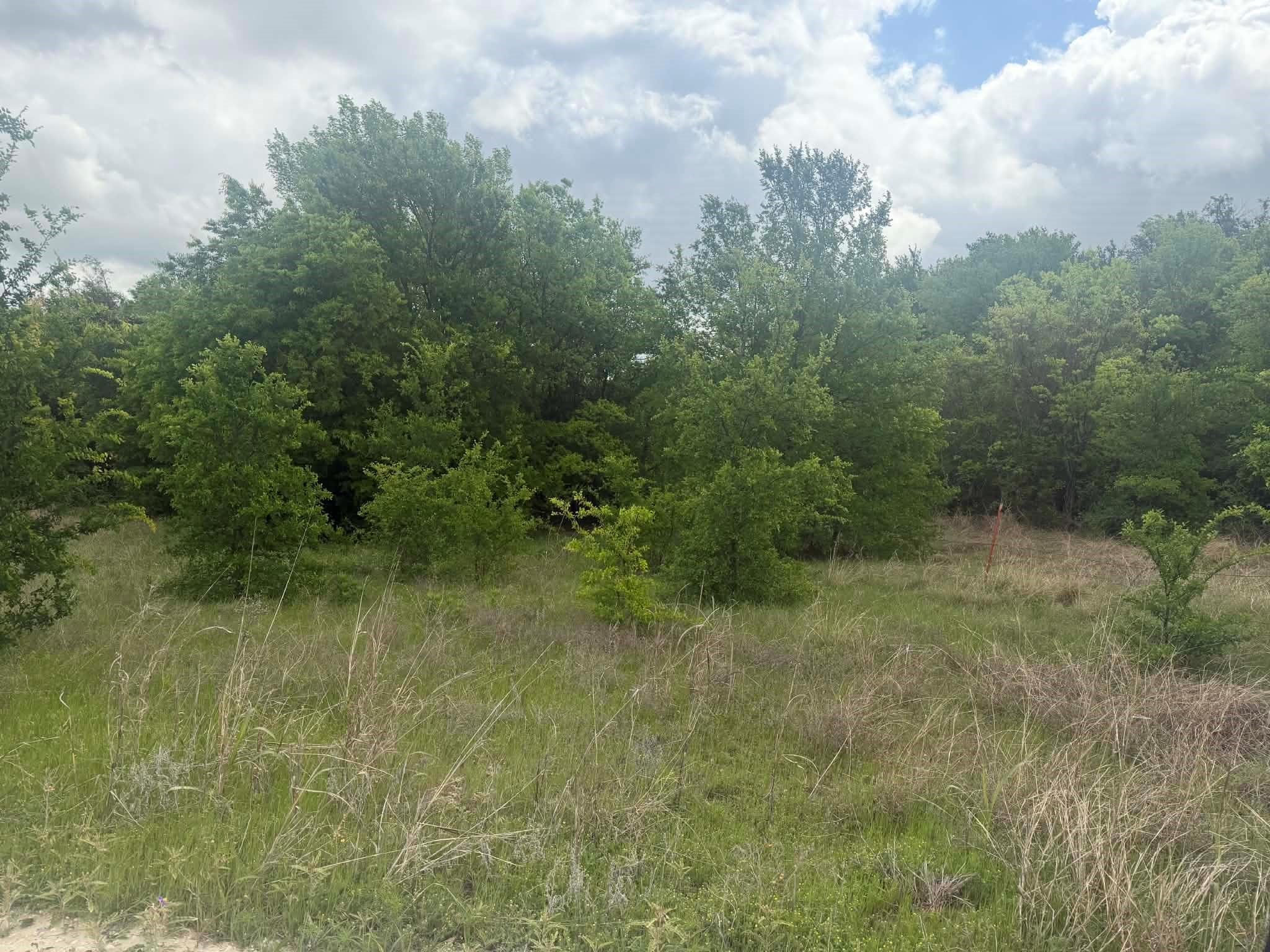 main property photo 26