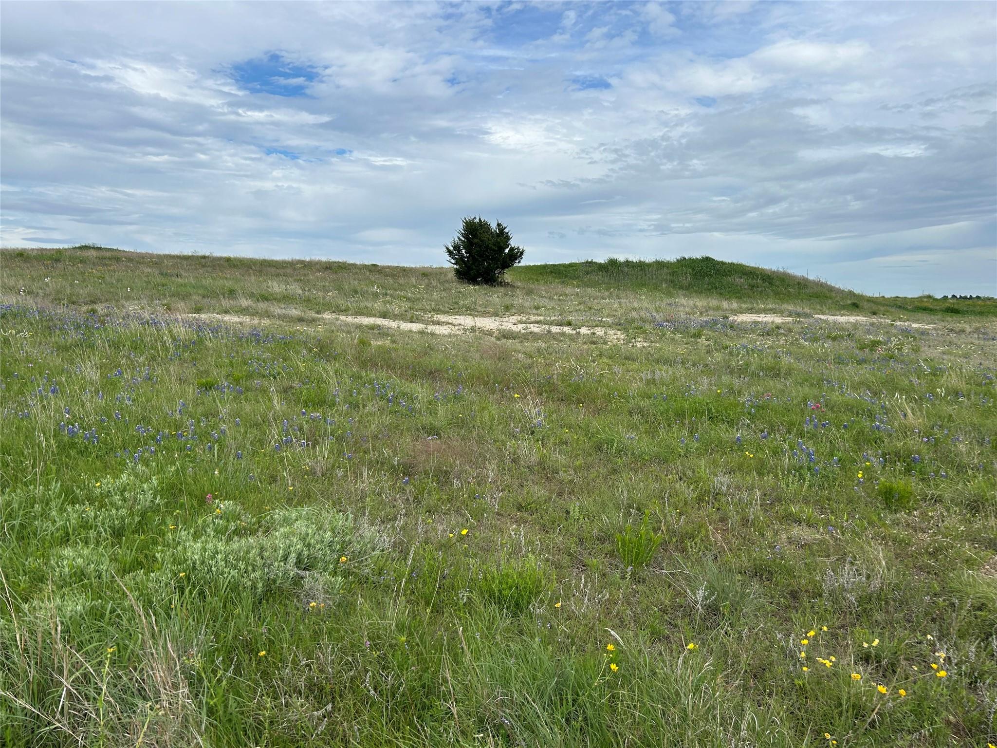 main property photo 18