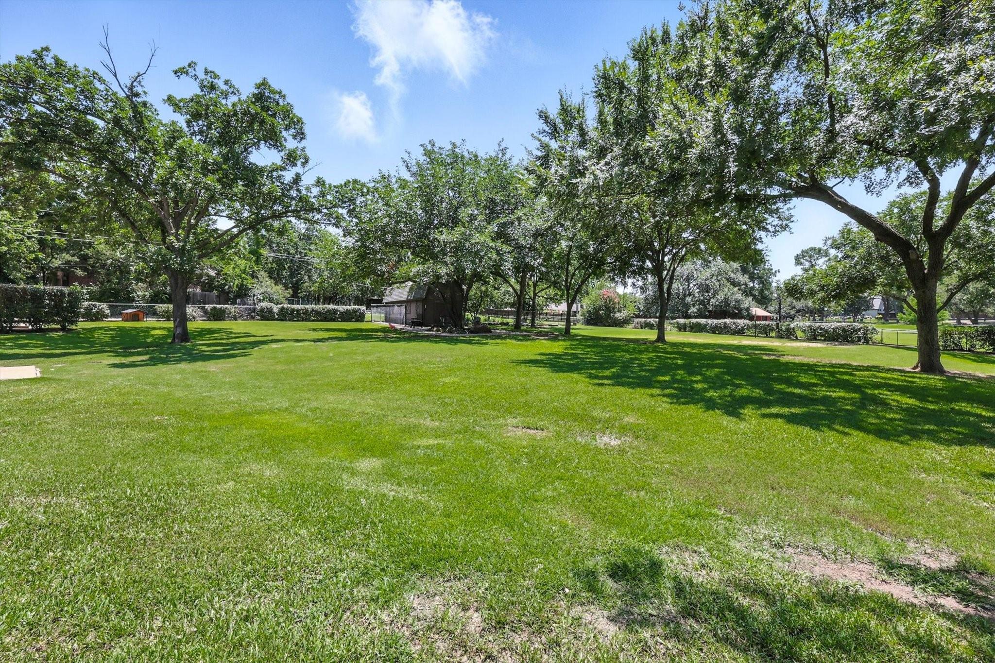 main property photo 38
