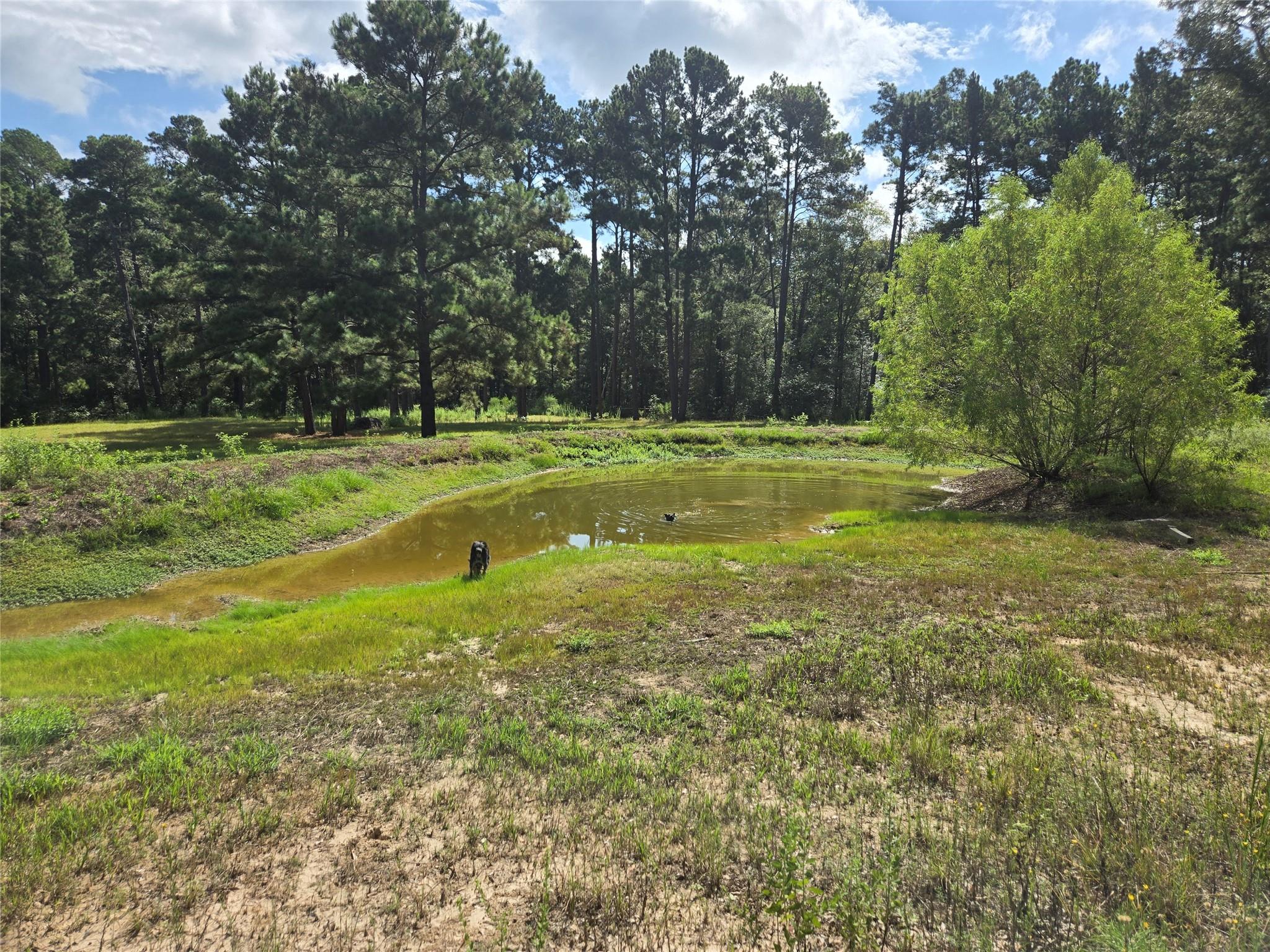 main property photo 4