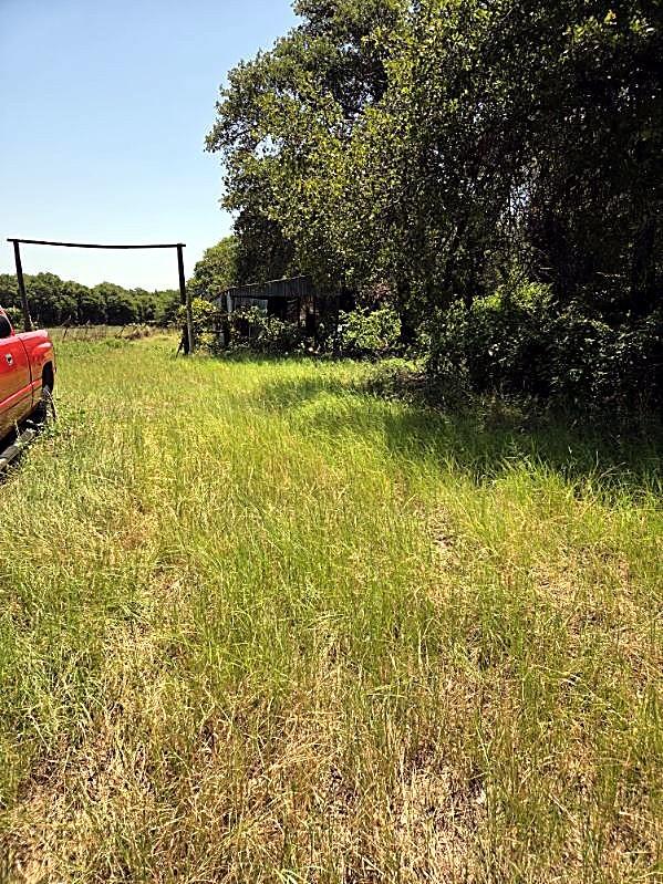 main property photo 13