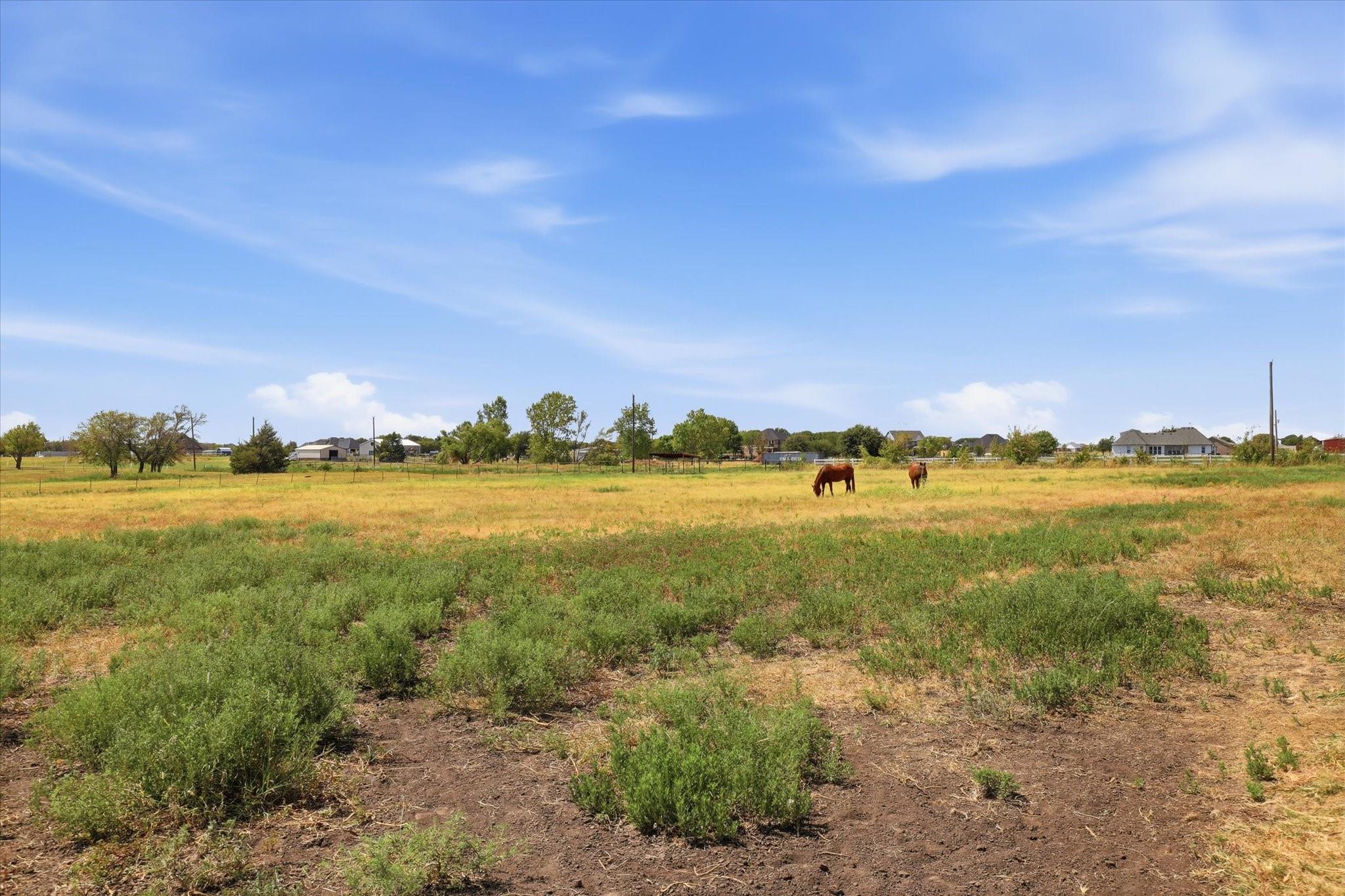 main property photo 34