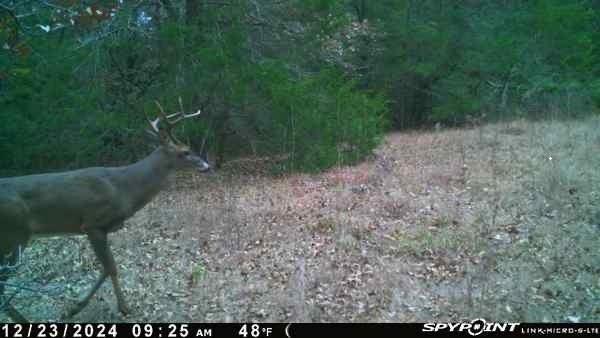 main property photo 5