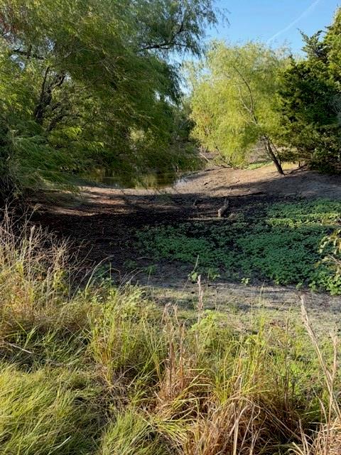 main property photo 11