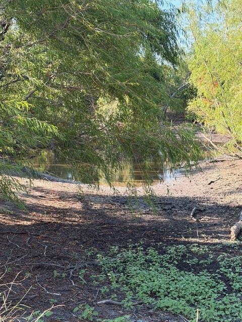 main property photo 12