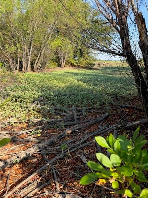 main property photo 22