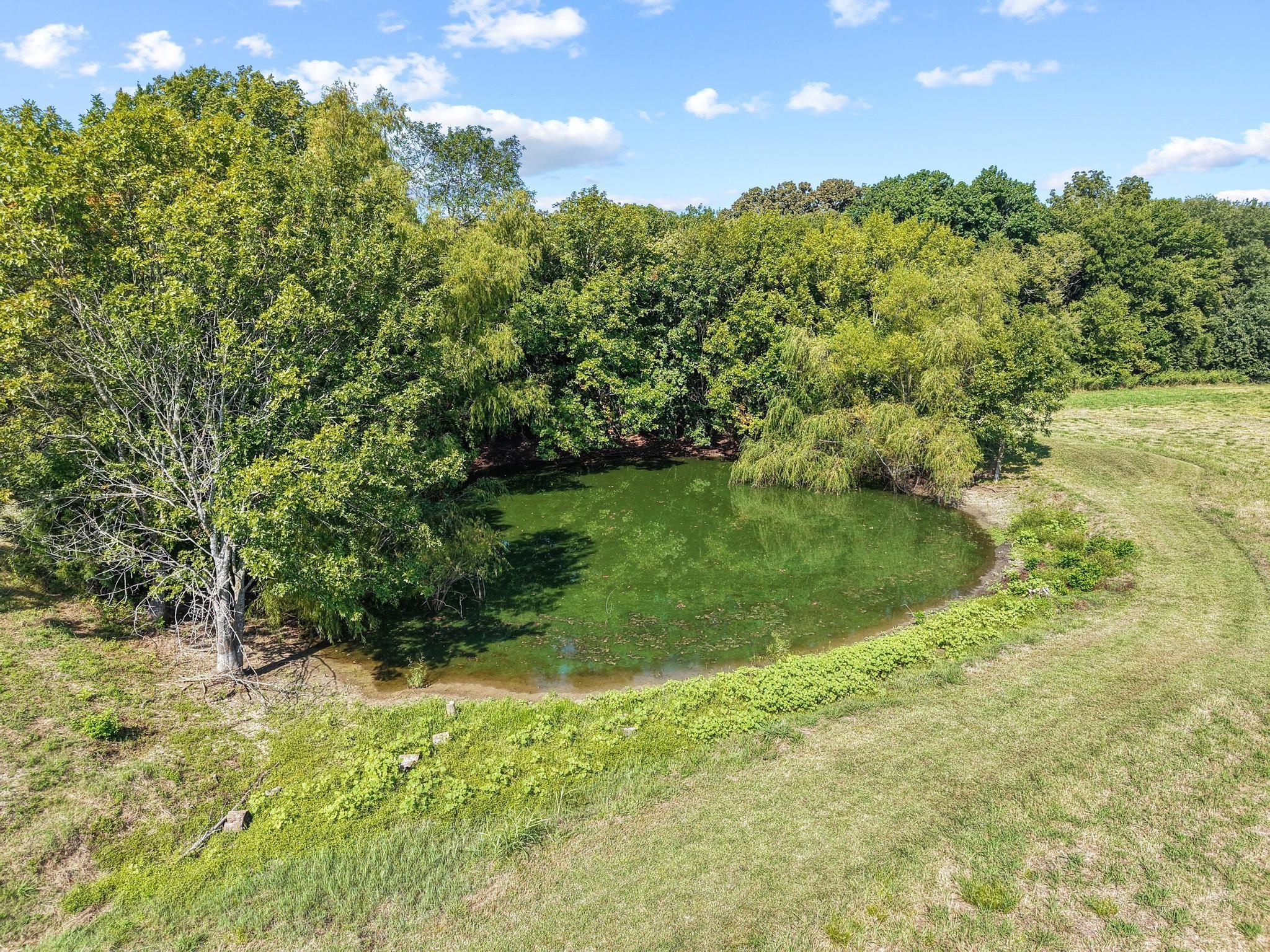 main property photo 29