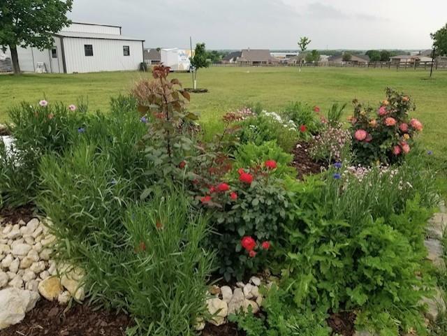 main property photo 22