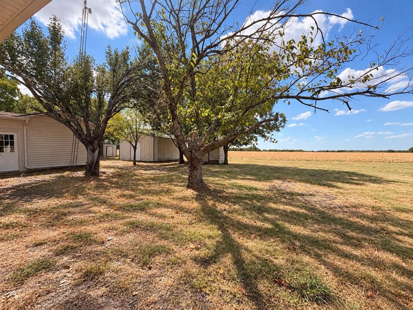 main property photo 6