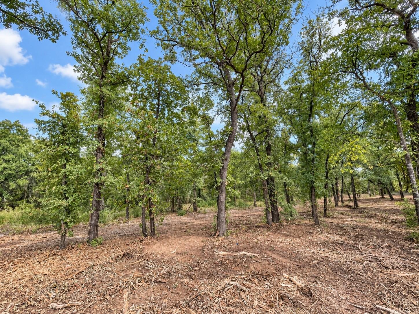 main property photo 11