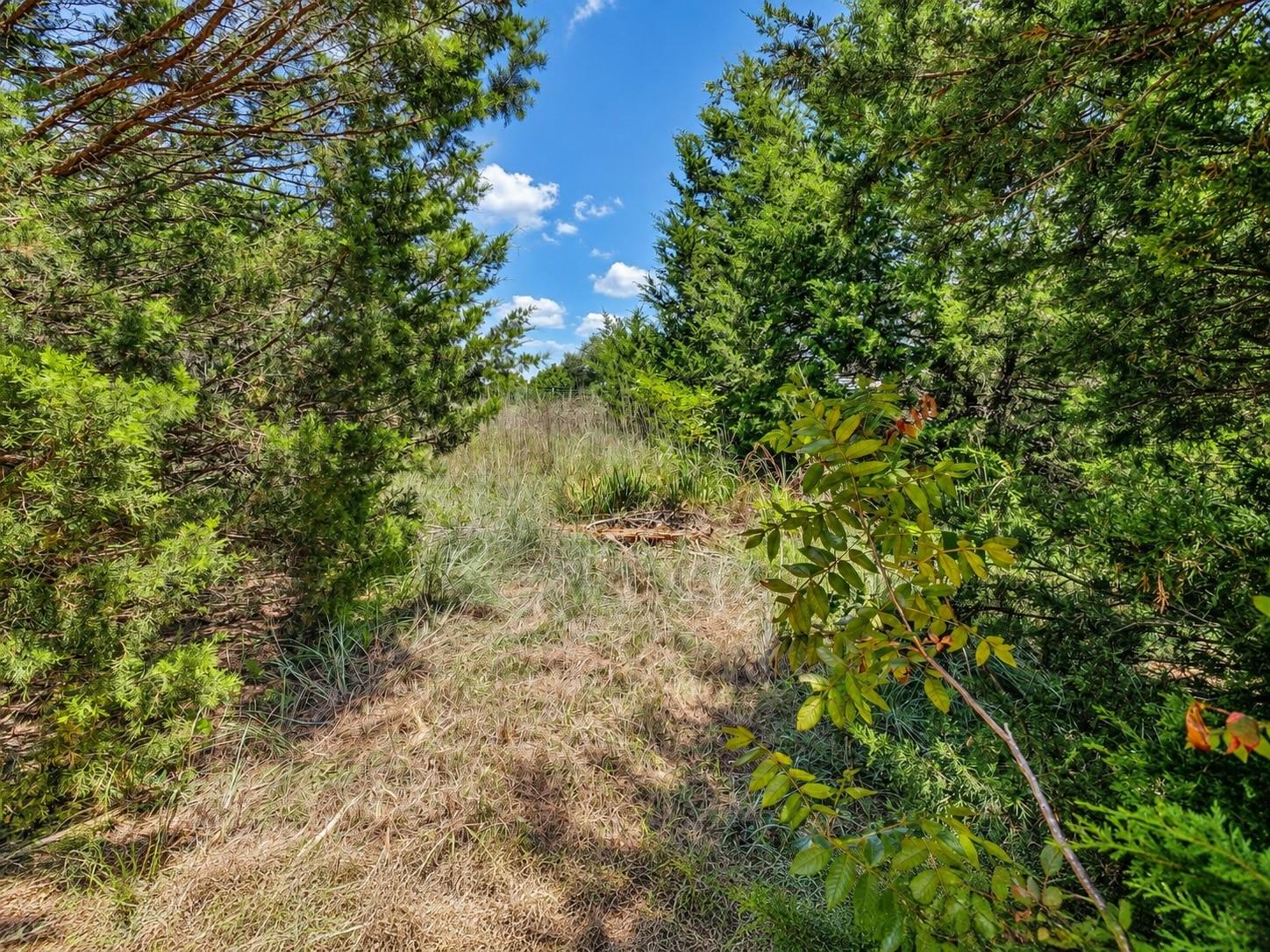 main property photo 13