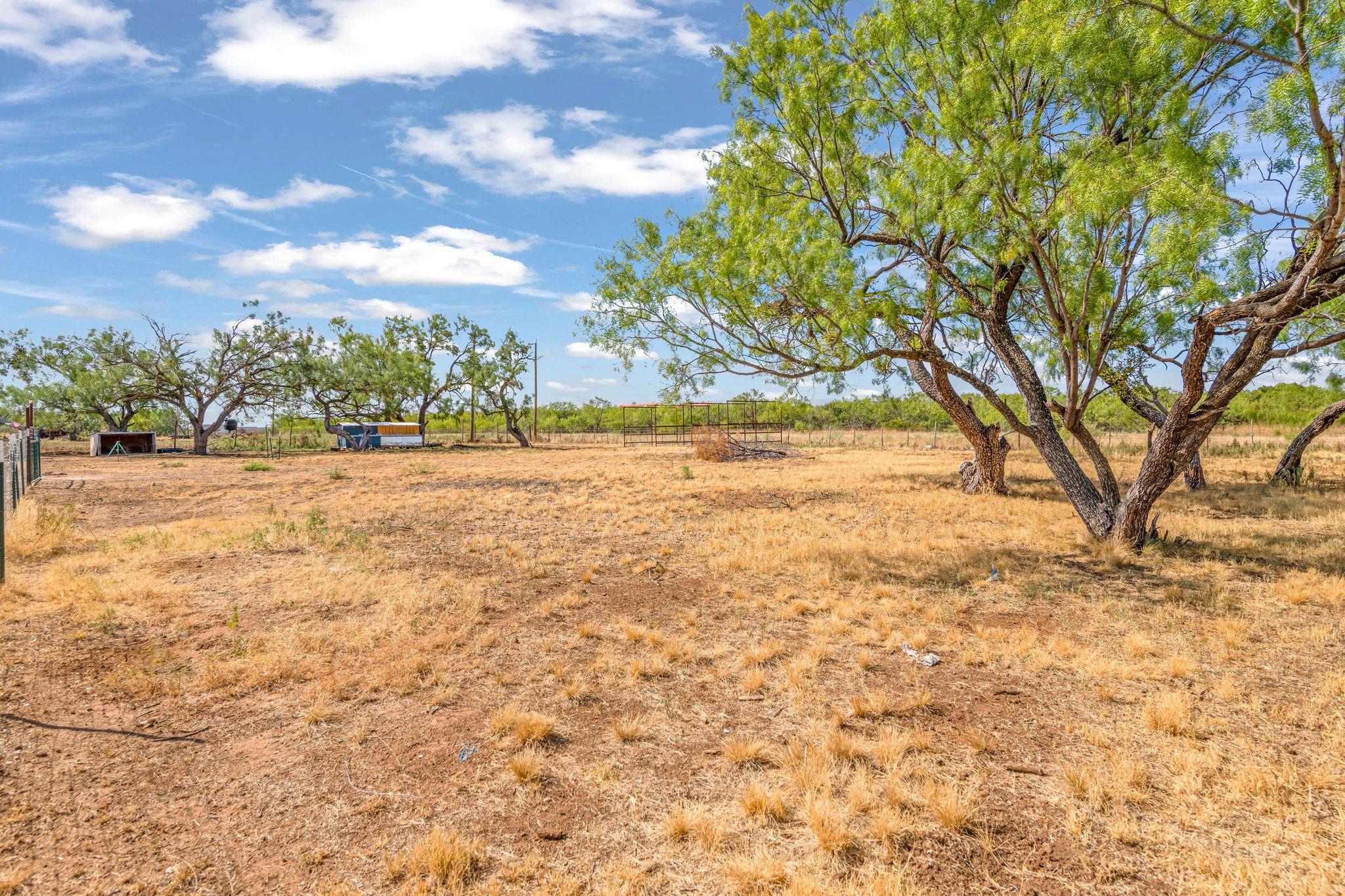 main property photo 38