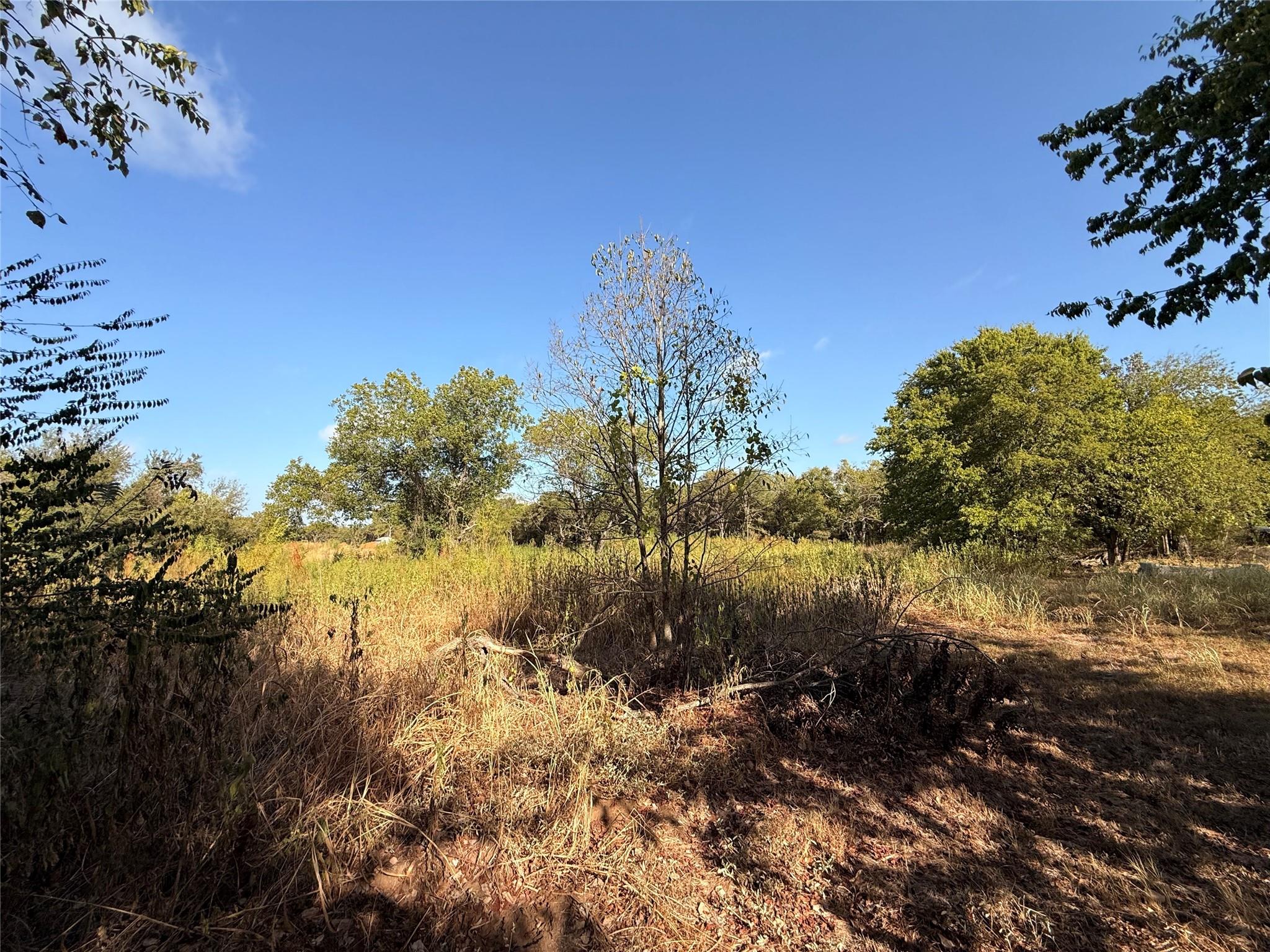 main property photo 10