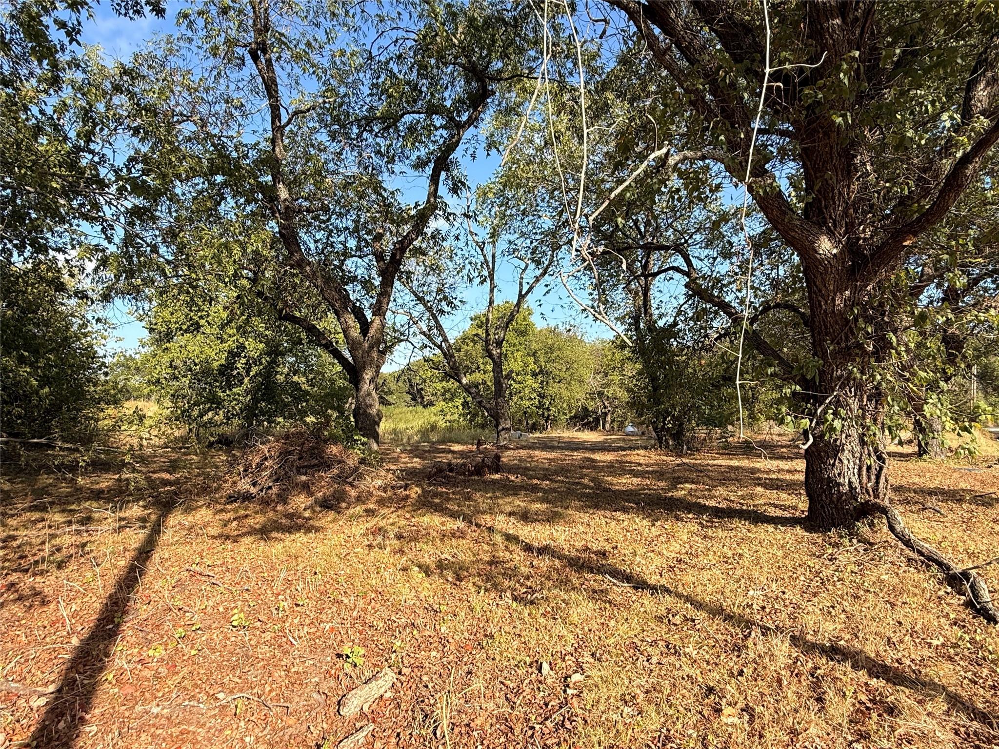 main property photo 14