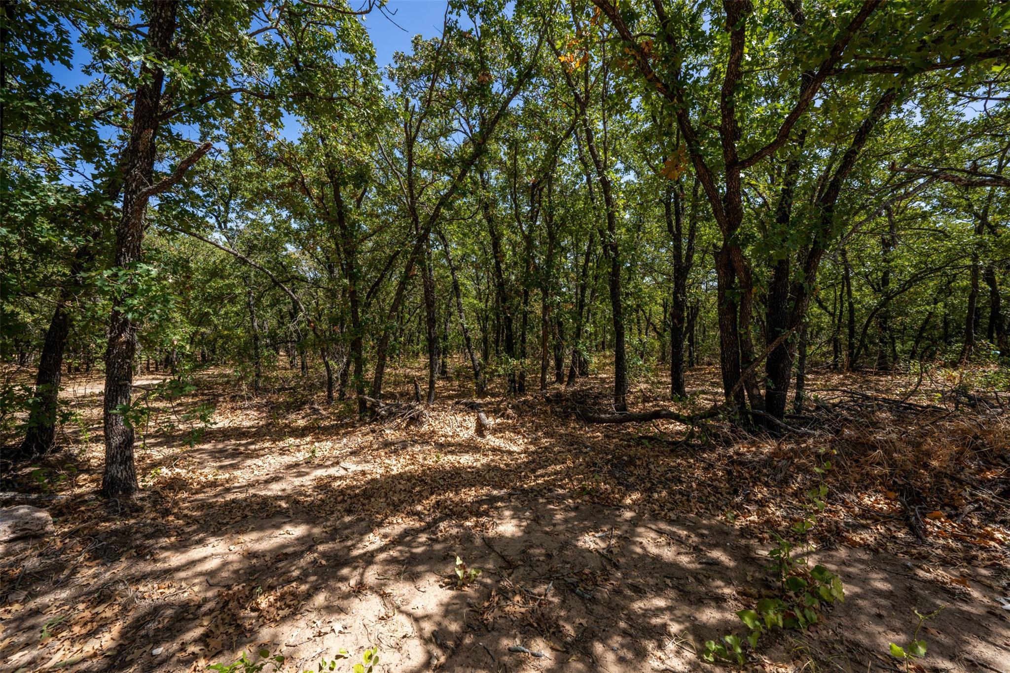 main property photo 10