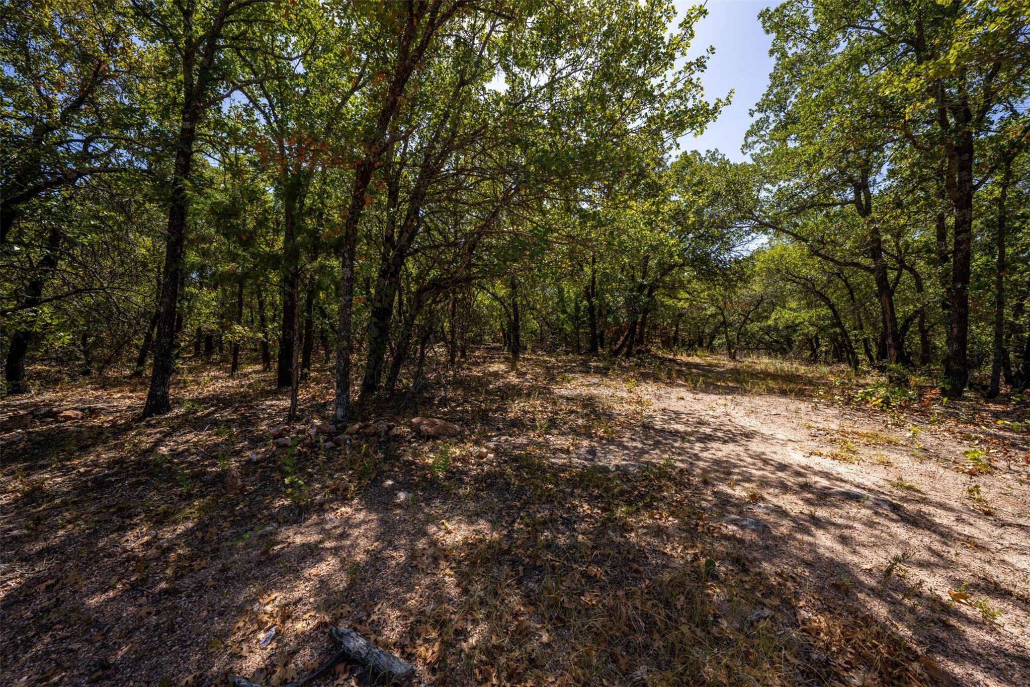 main property photo 17