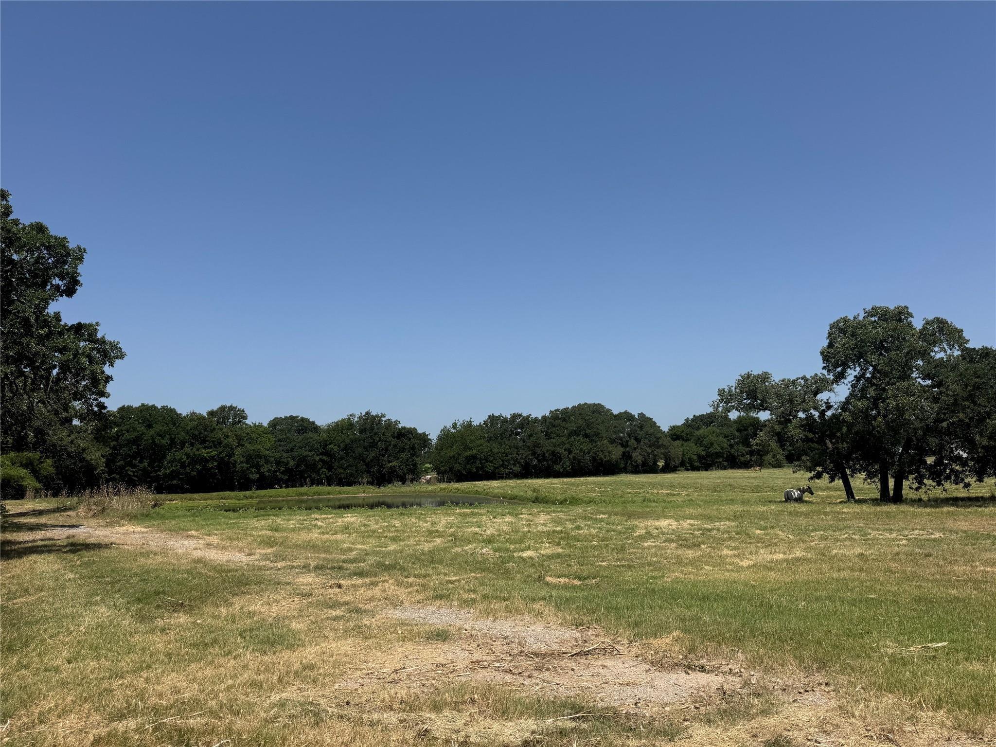 main property photo 35