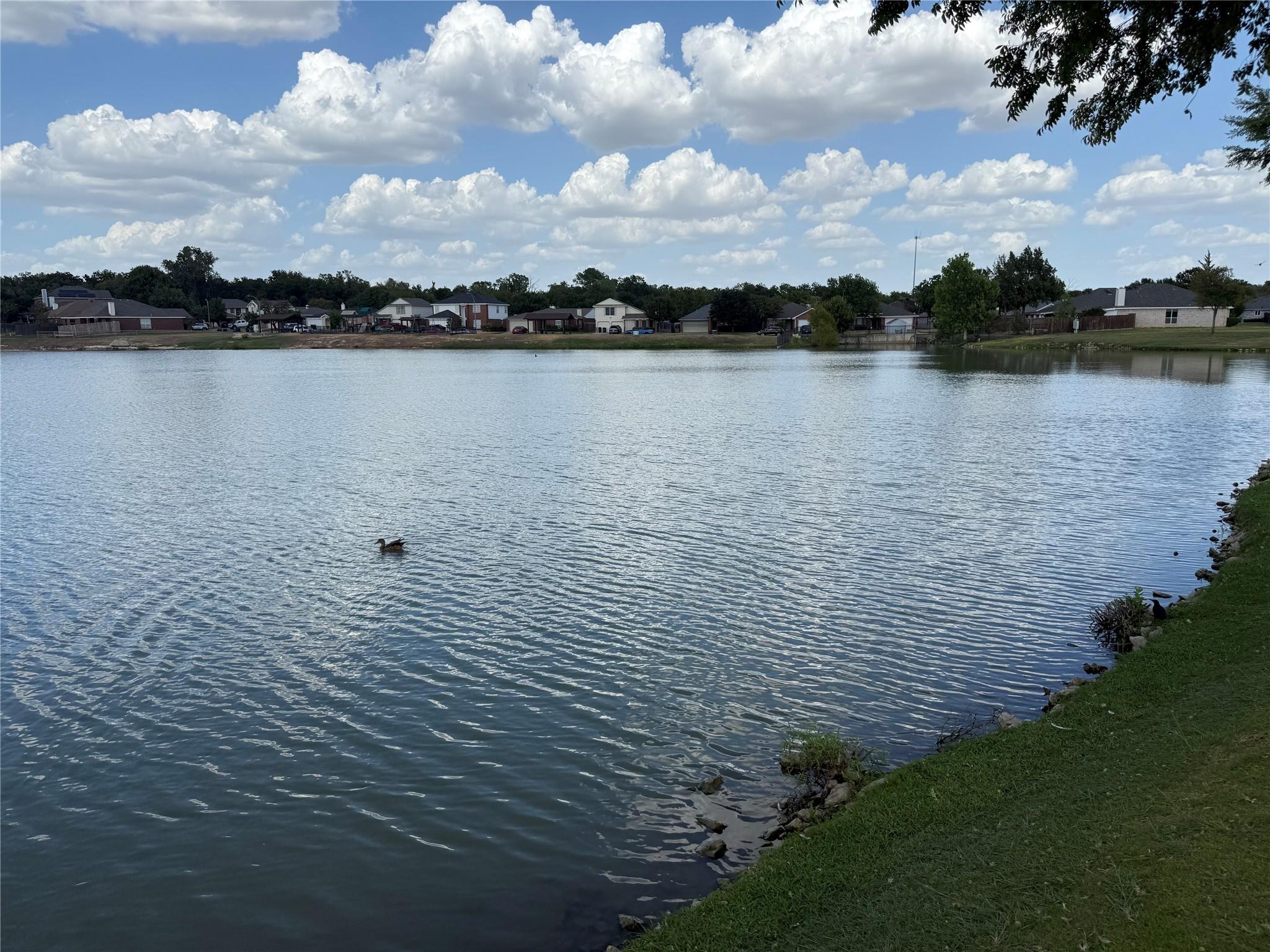 main property photo 31