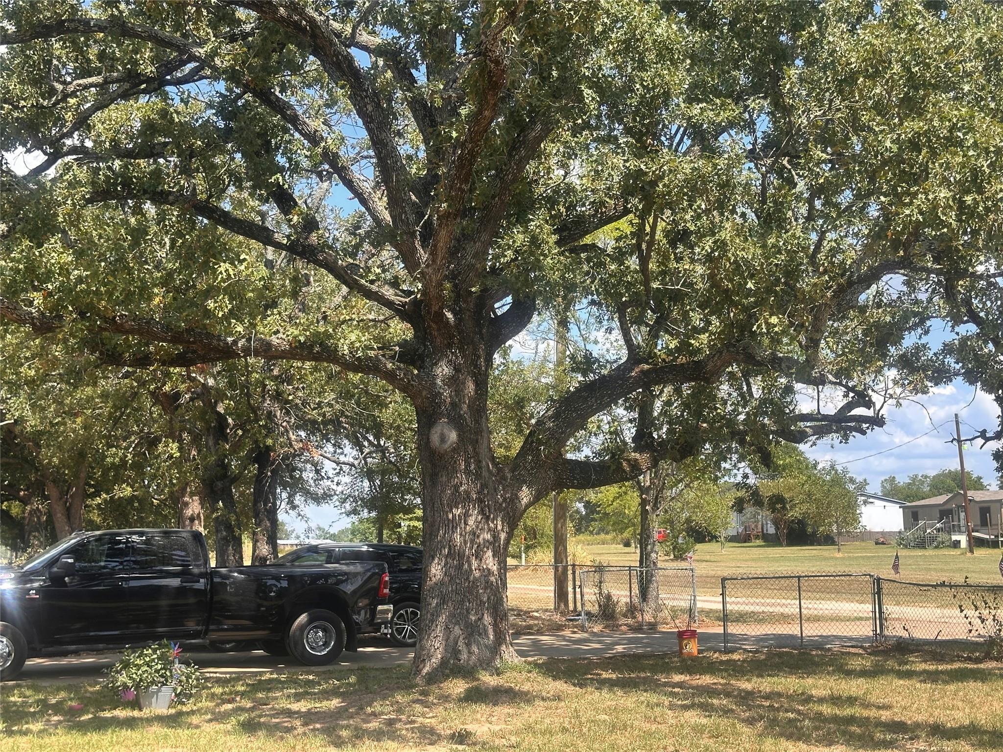main property photo 7