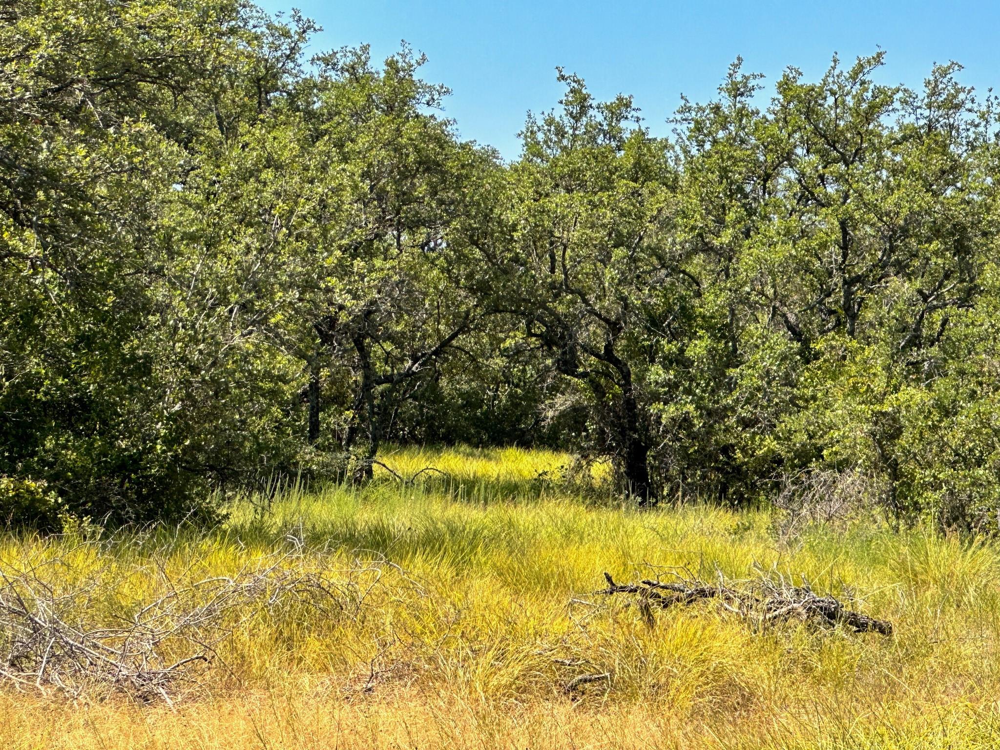 main property photo 25