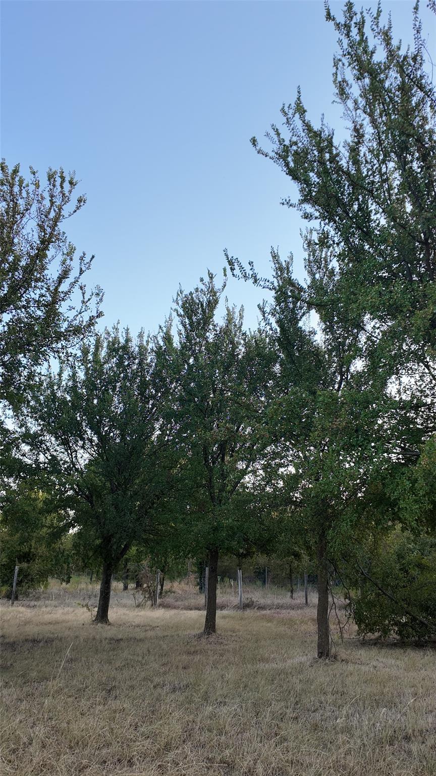 main property photo 21