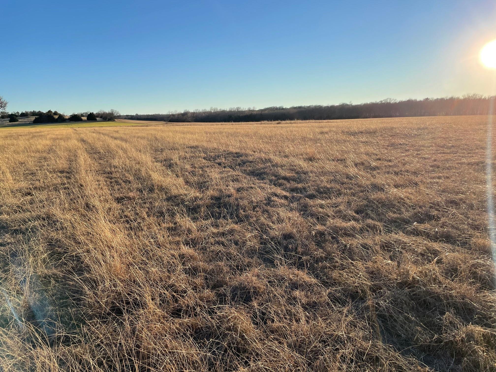 main property photo 10