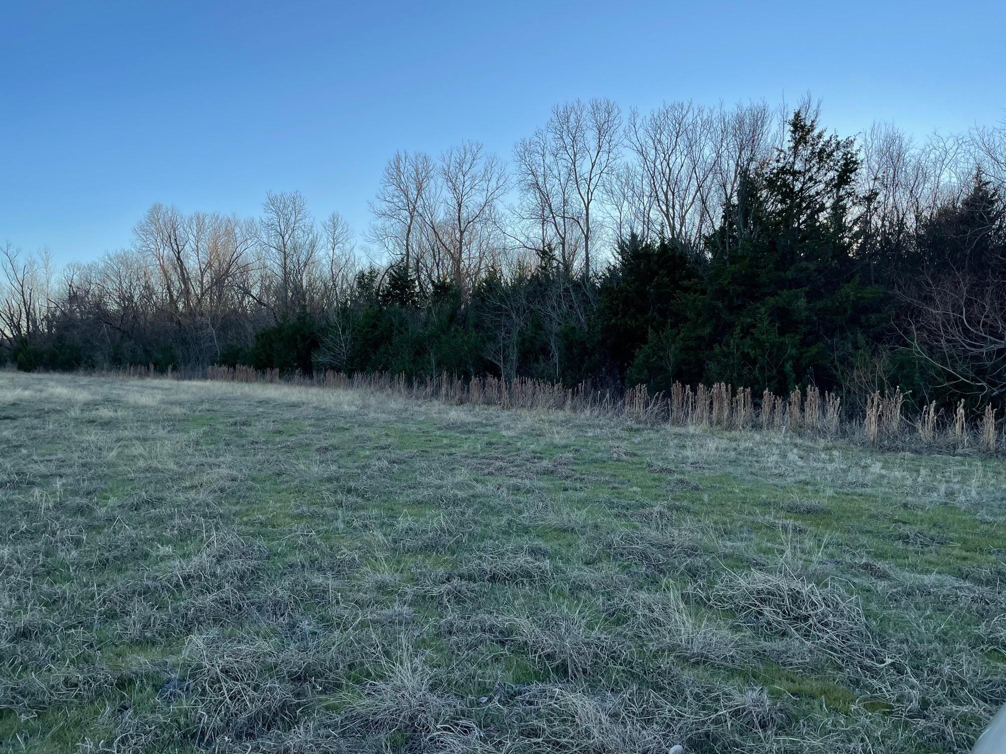 main property photo 13