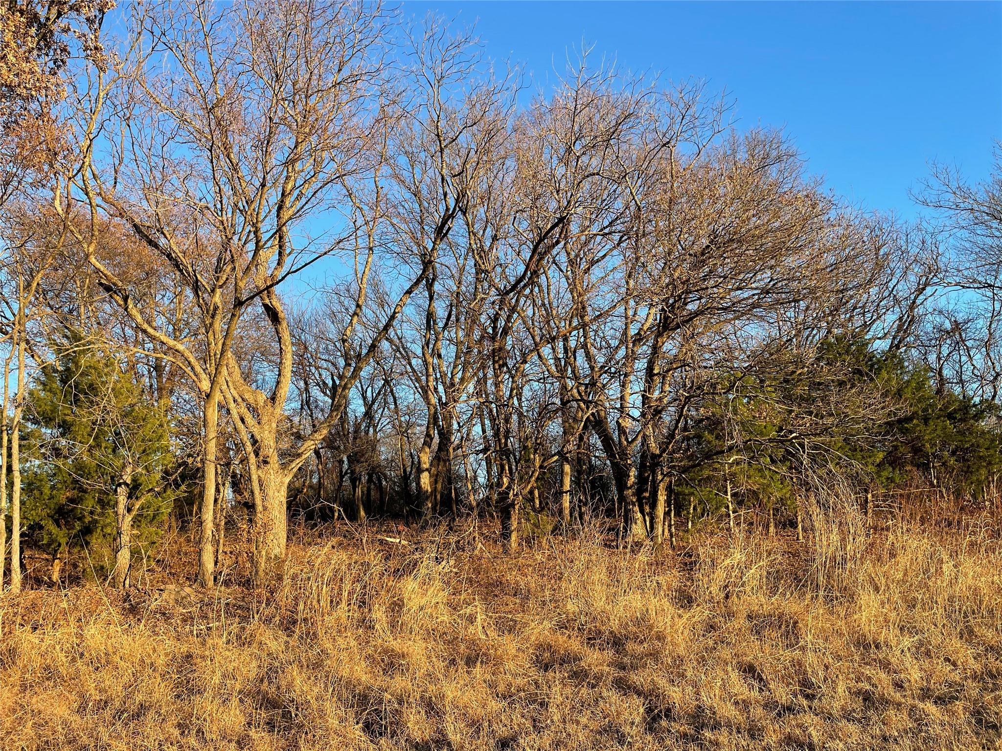 main property photo 4