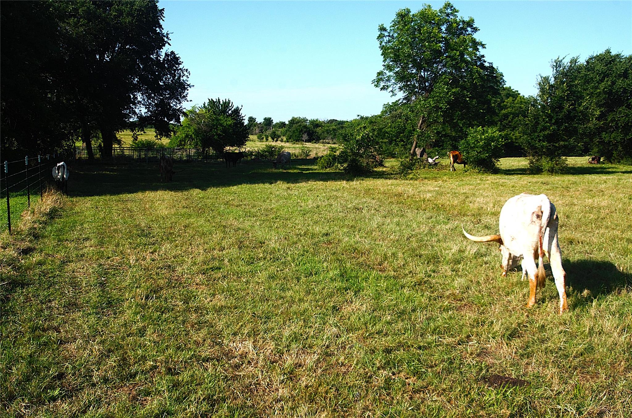 main property photo 16