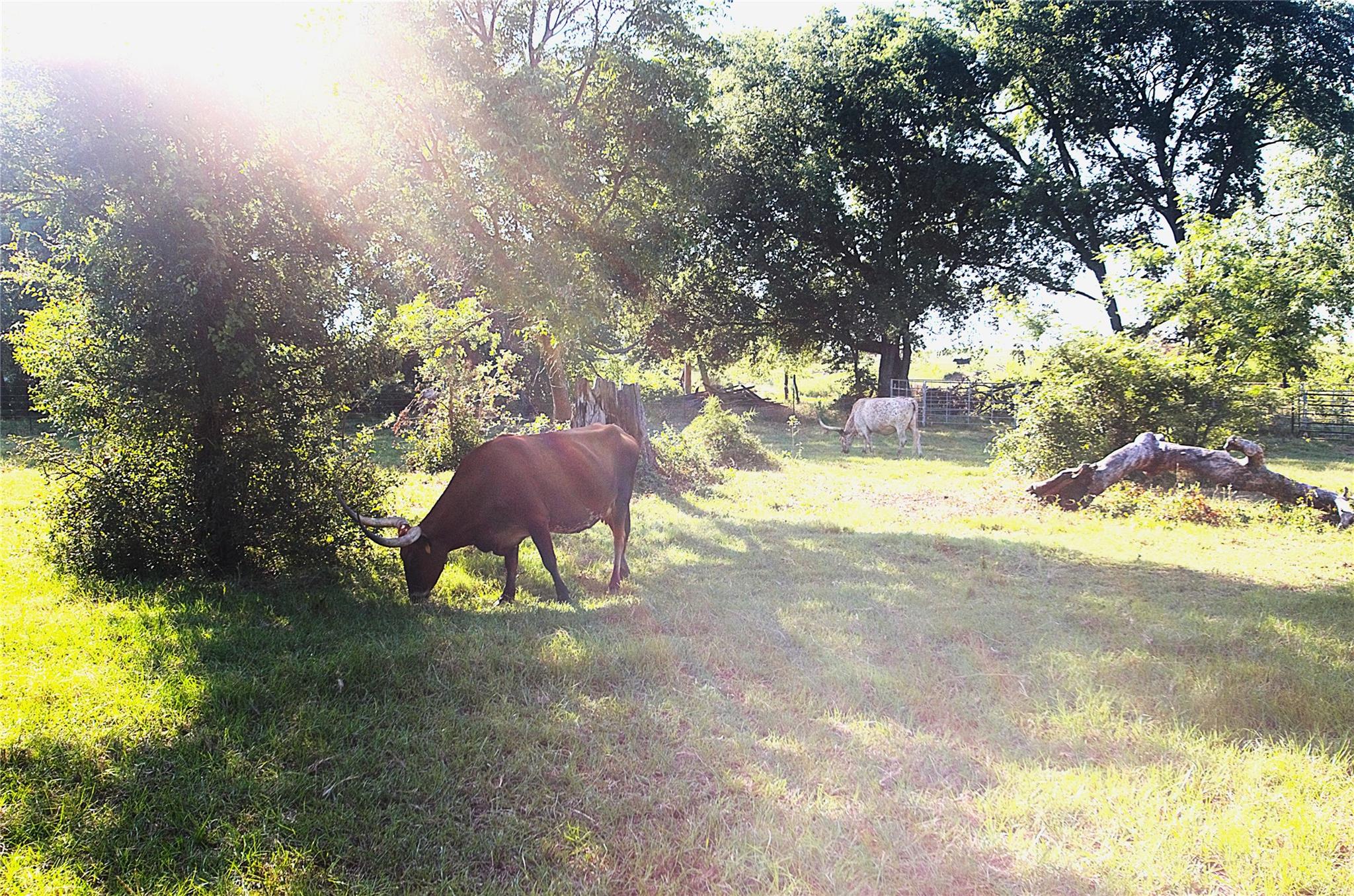 main property photo 18
