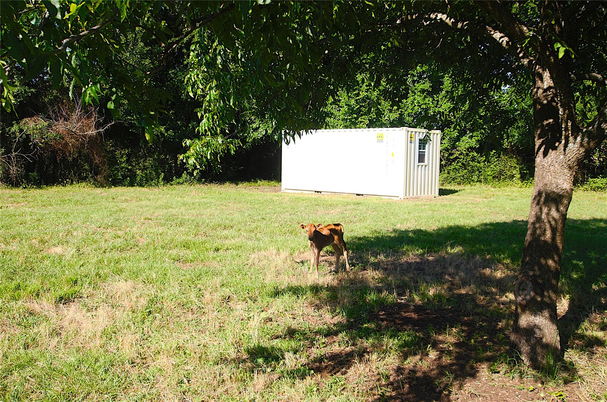 main property photo 20